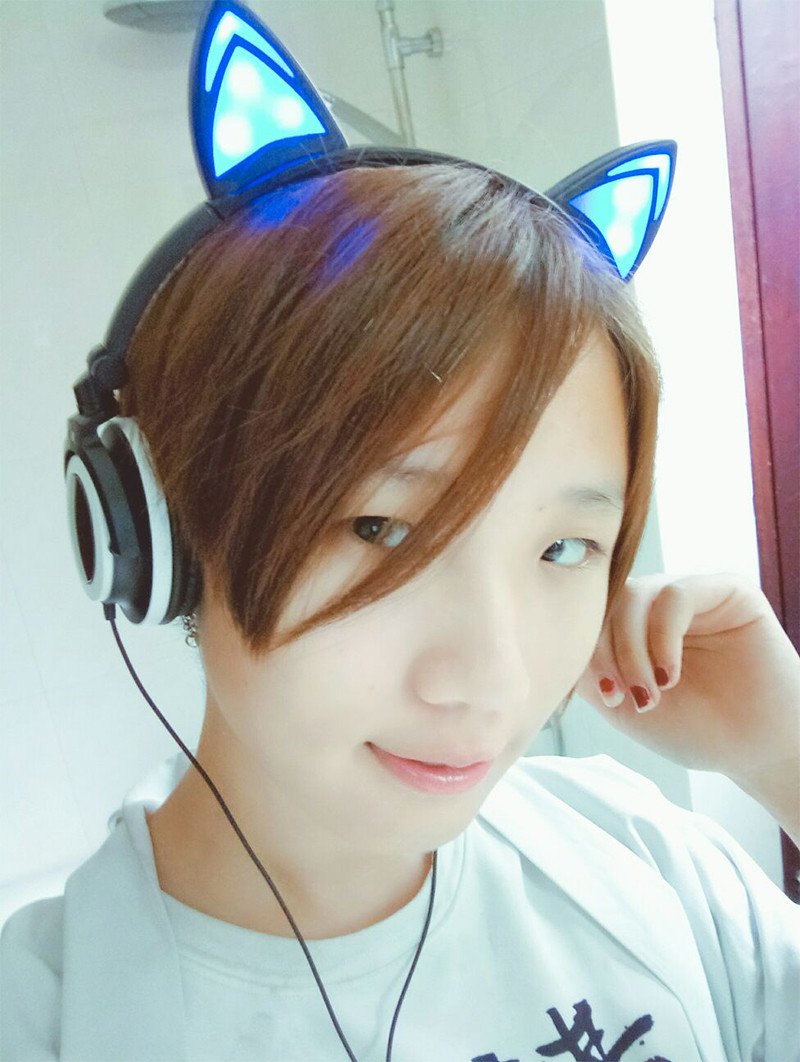 LED Cat Ear Headphones
