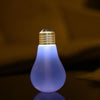 USB Ultrasonic Bulb Humidifier