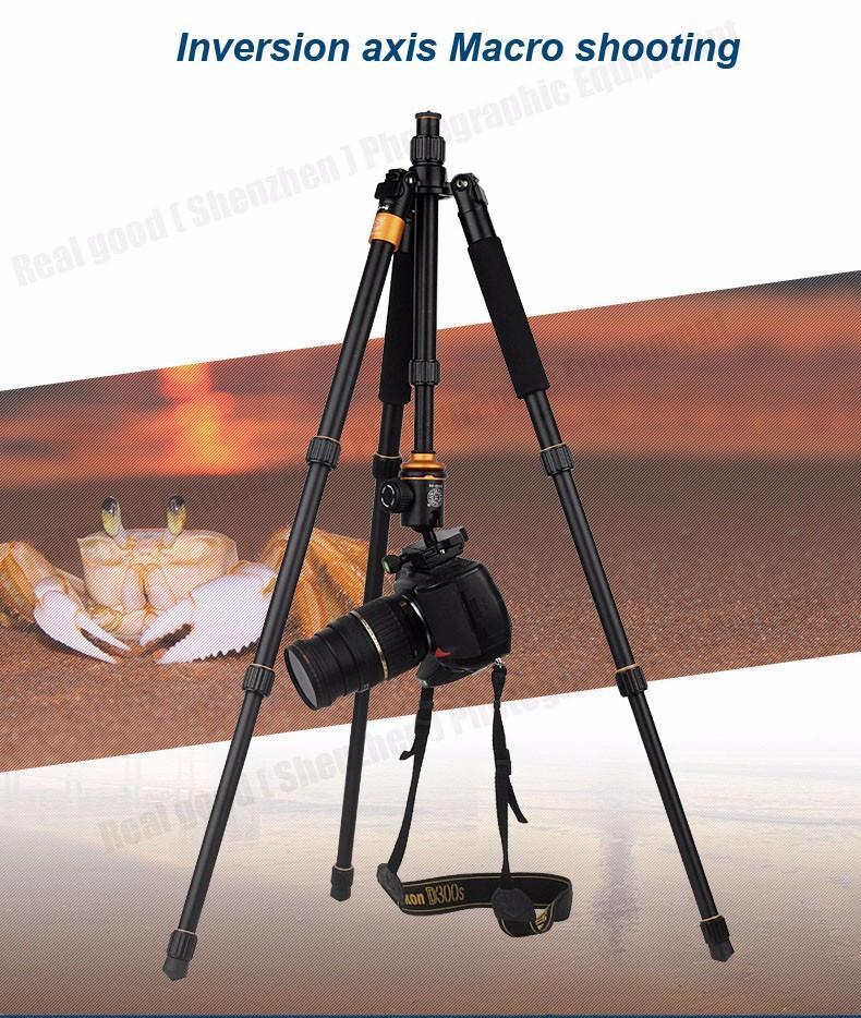 Professional Aluminum Tripod/Monopod - Max Loading 6Kg