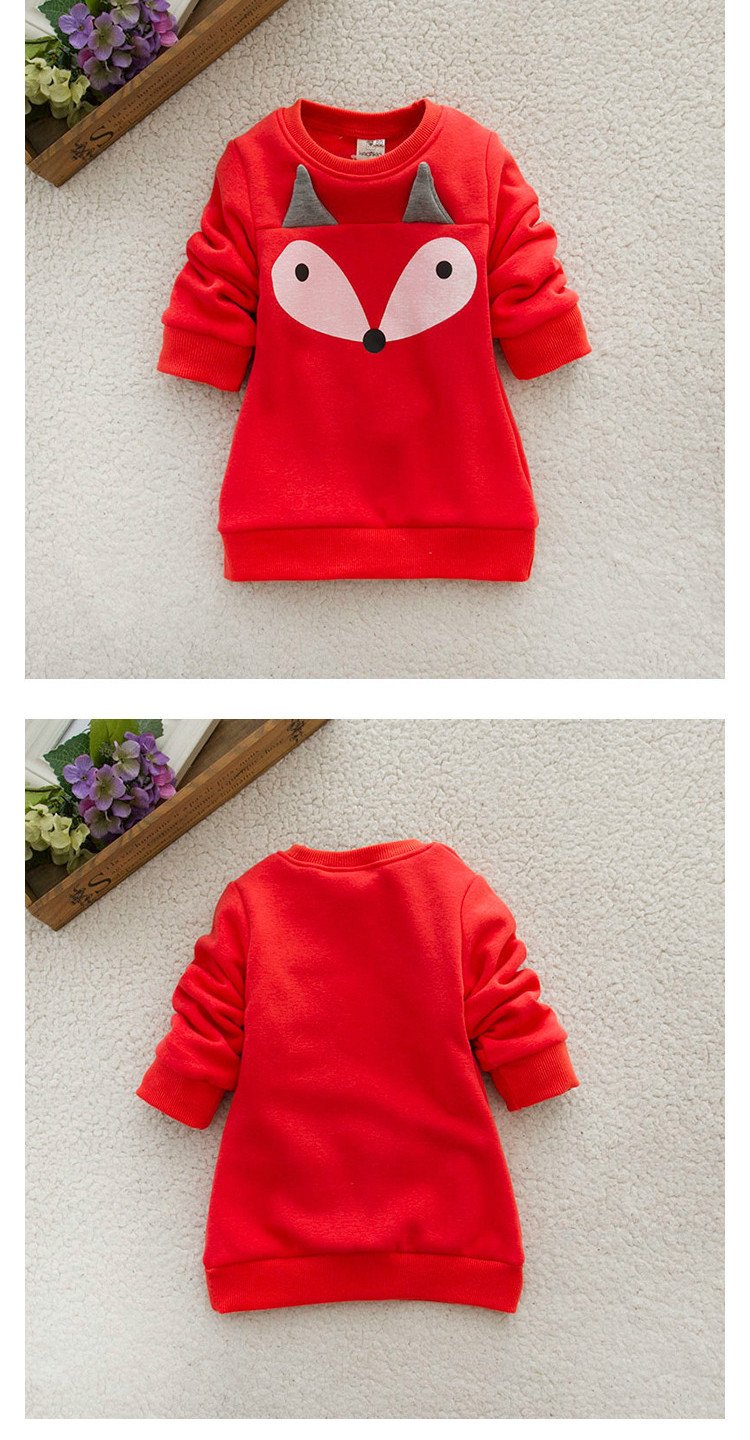 Girls Fox Sweater & Leggings